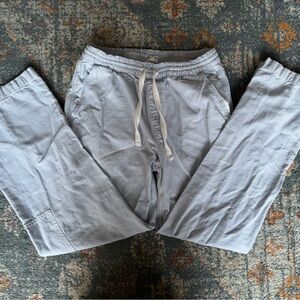 aerie Blue Striped cargo pants